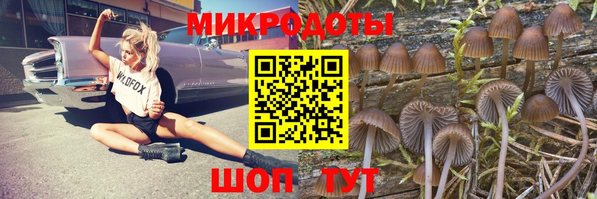 Псилоцибиновые грибы Psilocybine cubensis  Вход с VPN  купить  сайты  Псилоцибиновые грибы мухоморы  Коряжма 